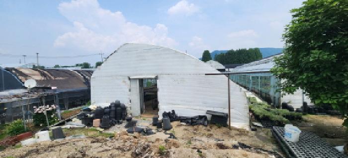 법원경매 2025타경1675 사진21 | 양주시 장흥면 삼하리 262-6 답 경매