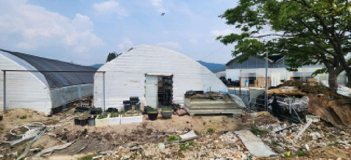 법원경매 2025타경1675 사진24 | 양주시 장흥면 삼하리 262-6 답 경매