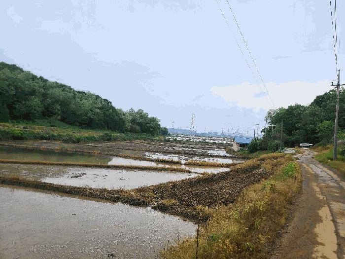 충청남도 당진시 송악읍 월곡리 375 법원경매 물건 대표사진