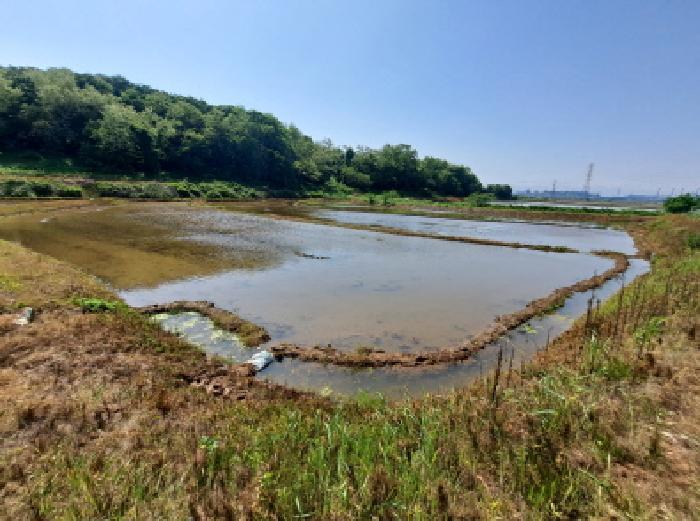 2025타경632 법원경매 사진12 | 충남 당진시 답 경매