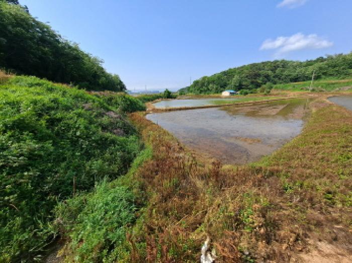 2025타경632 법원경매 사진21 | 충남 당진시 답 경매