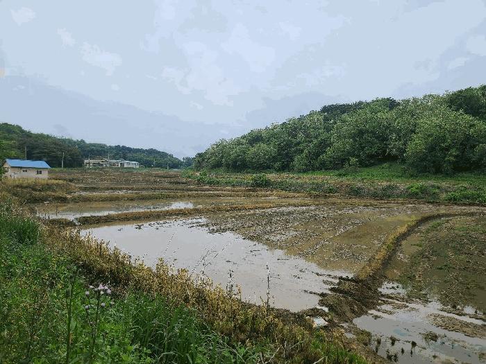 2025타경632 법원경매 사진6 | 충남 당진시 답 경매