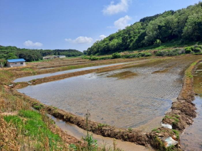 2025타경632 법원경매 사진8 | 충남 당진시 답 경매