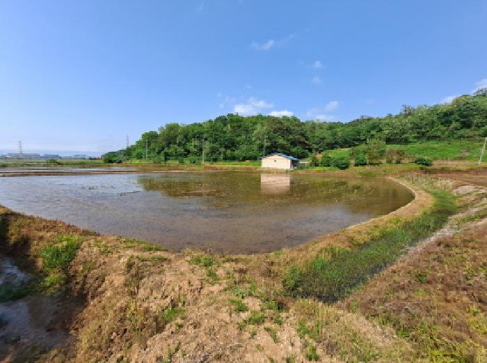 2025타경632 법원경매 사진17 | 충남 당진시 답 경매