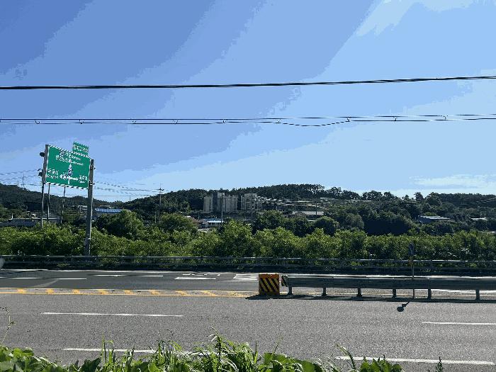 법원경매 2025타경667 사진2 | 서산시 대산읍 대로리 230-2 임야 경매