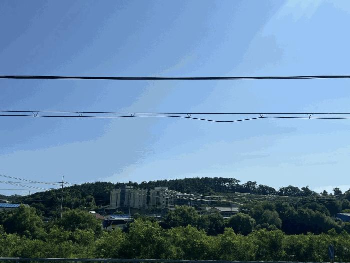 법원경매 2025타경667 사진5 | 서산시 대산읍 대로리 230-2 임야 경매