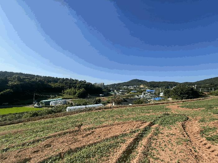 법원경매 2025타경667 사진7 | 서산시 대산읍 대로리 230-2 임야 경매