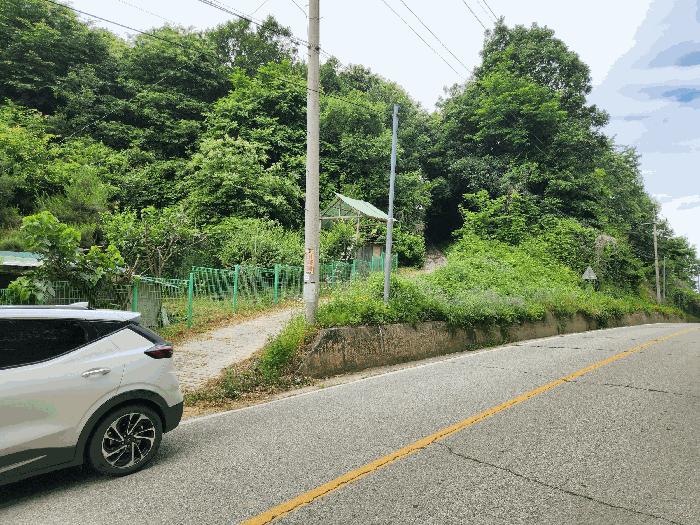 2025타경2753 법원경매 사진10 | 충북 괴산군 임야 경매