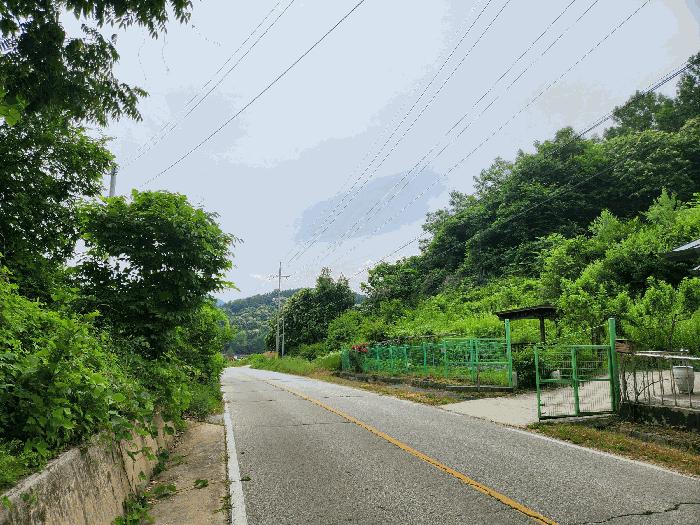 2025타경2753 법원경매 사진12 | 충북 괴산군 임야 경매