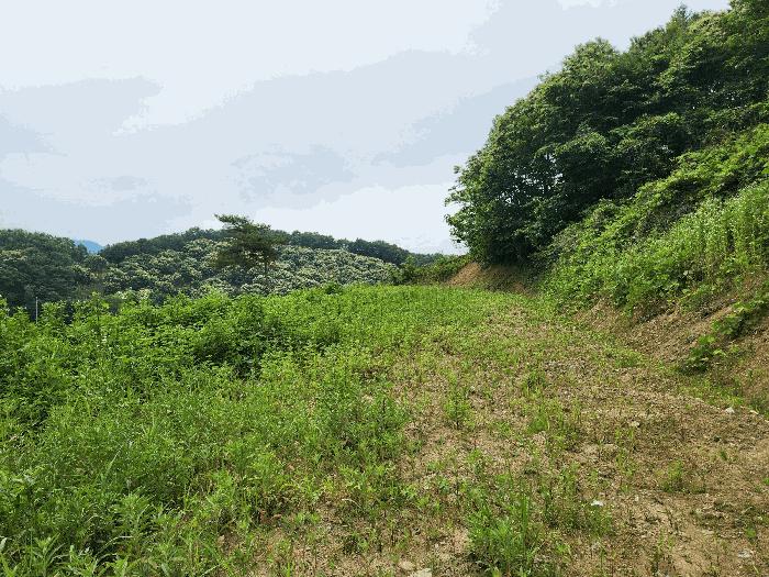 2025타경2753 법원경매 사진7 | 충북 괴산군 임야 경매