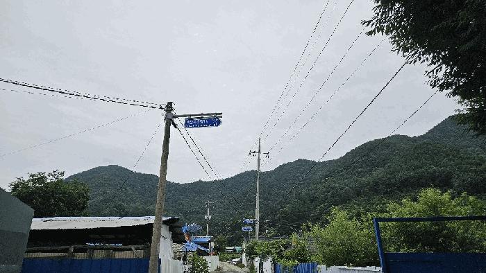 2025타경51440 법원경매 사진3 | 충북 괴산군 임야 경매