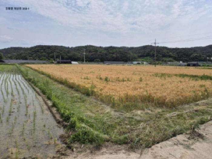 법원경매 2025타경10536 사진9 | 경주시 천북면 덕산리 669-1 대지 경매