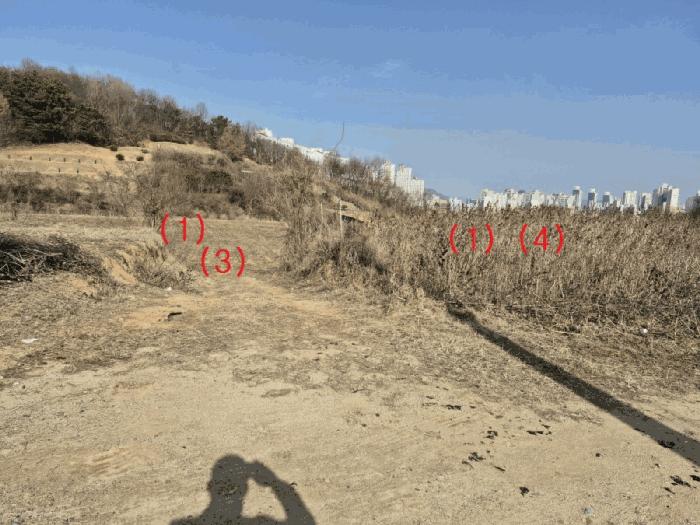 2025타경1689 법원경매 사진2 | 세종 장군면 전 경매