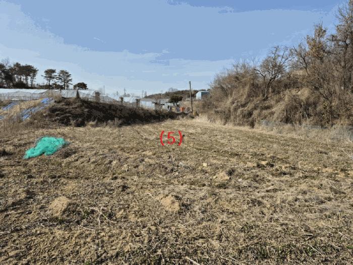2025타경1689 법원경매 사진3 | 세종 장군면 전 경매