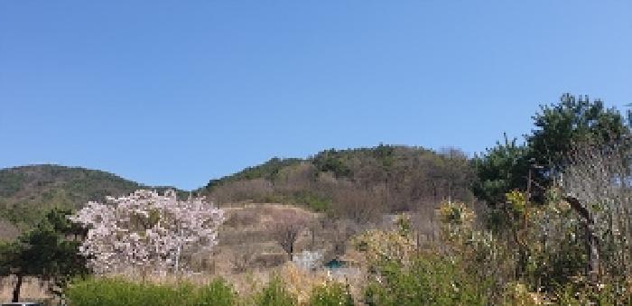 2025타경863 법원경매 사진22 | 충남 예산군 답 경매