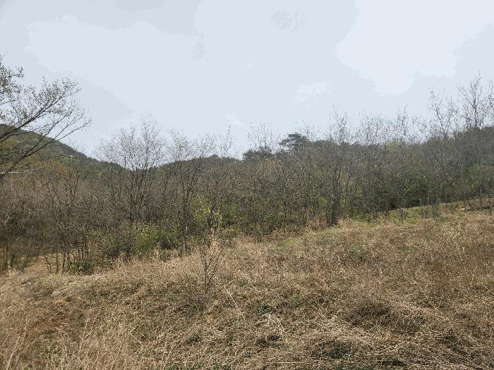 2025타경863 법원경매 사진3 | 충남 예산군 답 경매