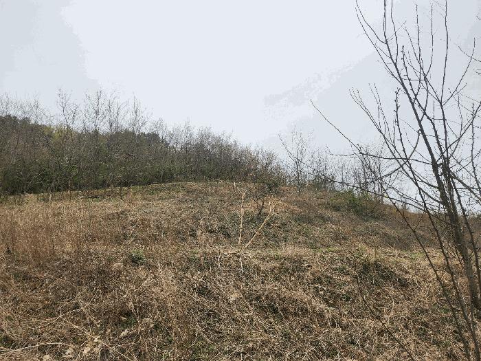 2025타경863 법원경매 사진9 | 충남 예산군 답 경매