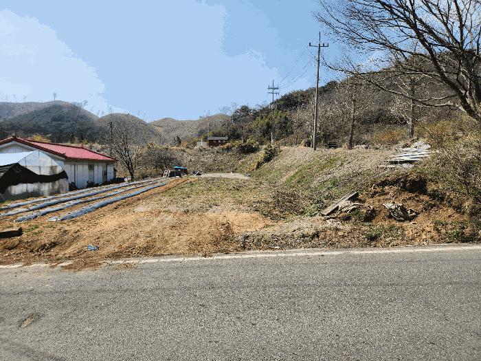 2025타경15598 법원경매 사진3 | 충남 보령시 대지,임야,전답 경매