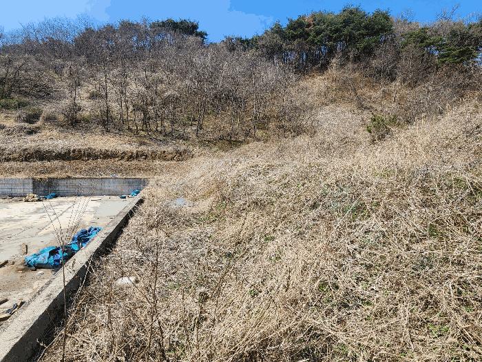 2025타경15598 법원경매 사진6 | 충남 보령시 대지,임야,전답 경매