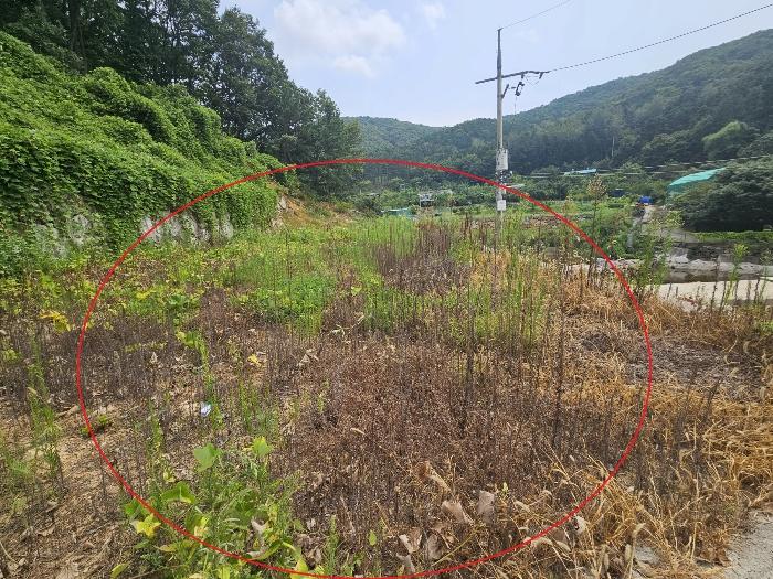 경상남도 양산시 상북면 대석리 95-6 법원경매 물건 대표사진