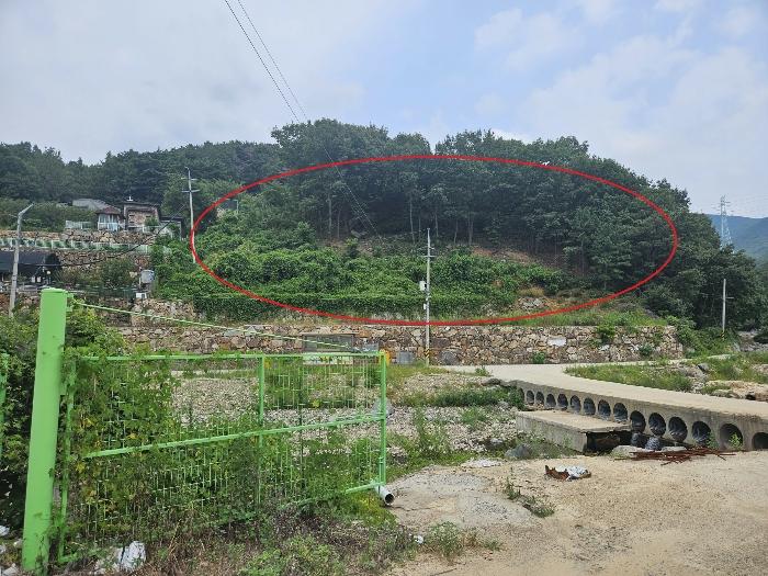 법원경매 2024타경6702 사진3 | 양산시 상북면 임야 경매