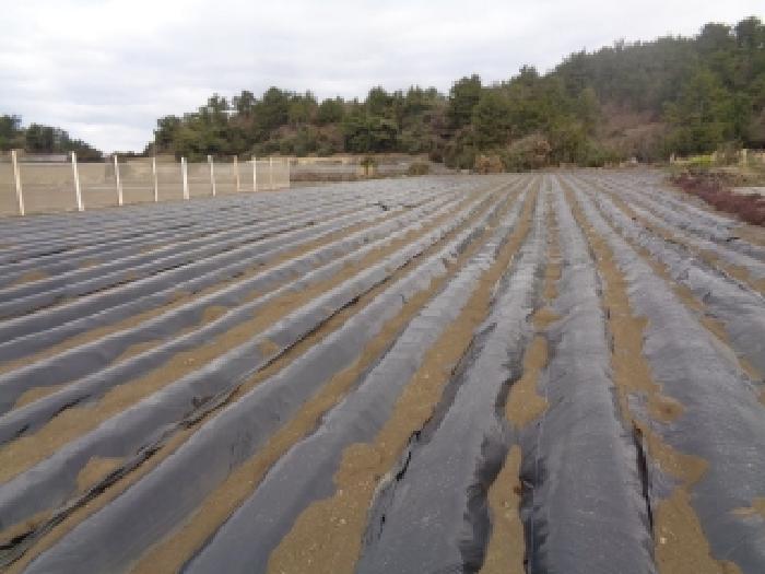 2025타경7496 법원경매 사진9 | 제주 서귀포시 상가 경매
