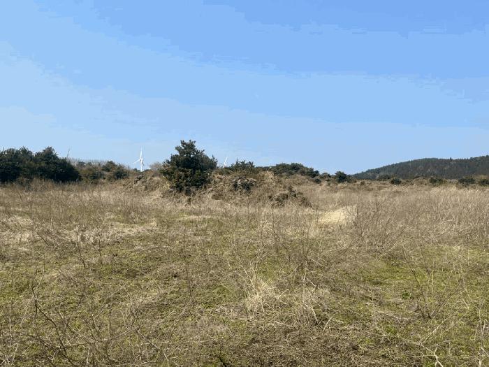 2025타경7703 법원경매 사진6 | 제주 서귀포시 기타 경매