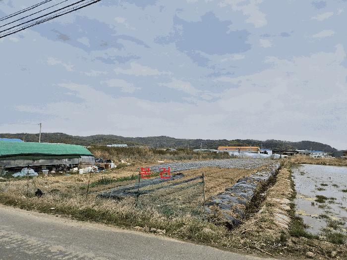 법원경매 2025타경812 사진2 | 대구 달성군 하빈면 동곡리 1050 답 경매