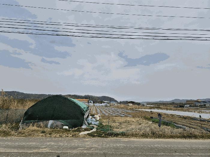 법원경매 2025타경812 사진3 | 대구 달성군 하빈면 동곡리 1050 답 경매