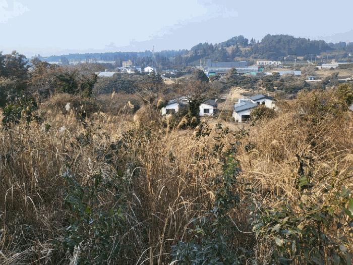 제주특별자치도 서귀포시 안덕면 감산리 7 법원경매 물건 대표사진