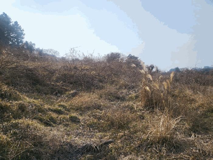법원경매 2025타경899 사진2 | 서귀포시 안덕면 감산리 7 전 경매