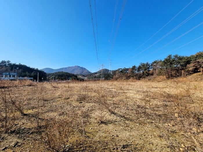 법원경매 2024타경6682 사진2 | 부산 기장군 장안읍 좌동리 137 답 경매