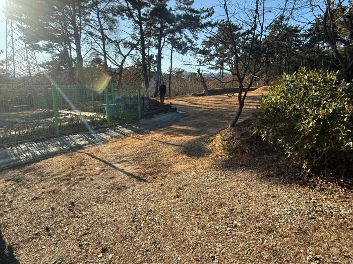 법원경매 2024타경6941 사진2 | 부산 기장군 장안읍 반룡리 임야 경매