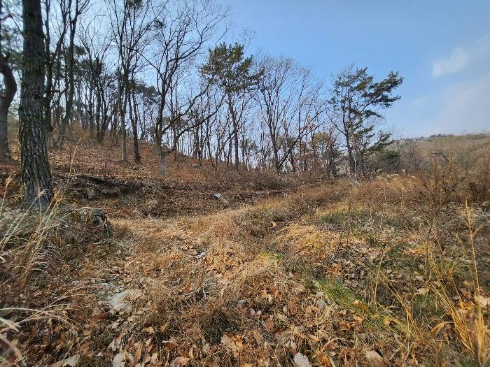 법원경매 2024타경113627 사진3 | 부산 기장군 장안읍 용소리 임야 경매
