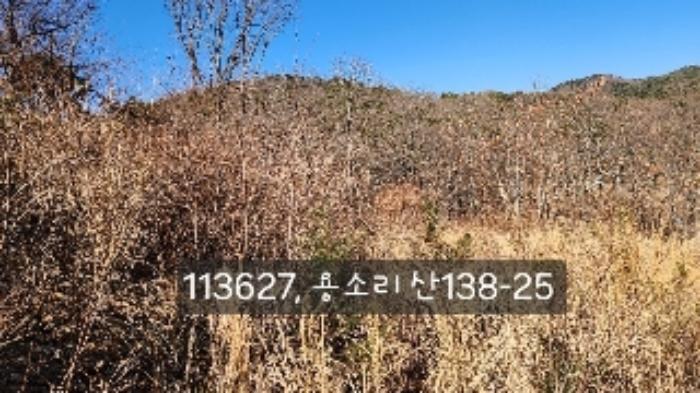 법원경매 2024타경113627 사진5 | 부산 기장군 장안읍 용소리 임야 경매