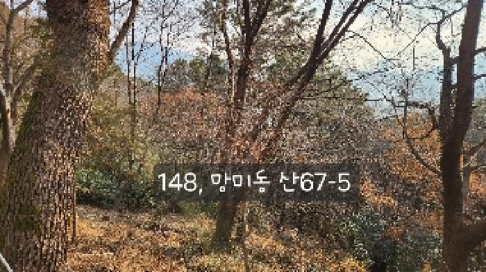 2025타경148 법원경매 사진2 | 부산 수영구 임야 경매