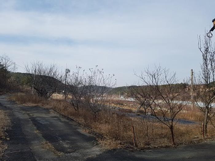 경상북도 의성군 의성읍 비봉리 867 법원경매 물건 대표사진