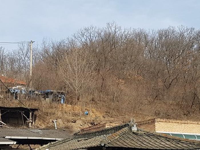 법원경매 2025타경10039 사진7 | 의성군 의성읍 비봉리 867 대지 경매