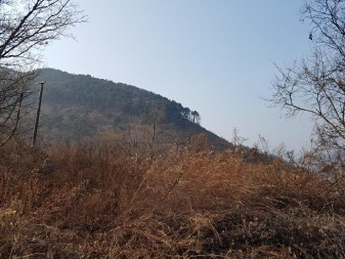 경상북도 의성군 춘산면 금오리 553 법원경매 물건 대표사진