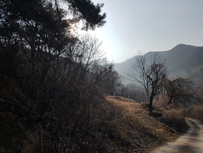 법원경매 2025타경10053 사진4 | 의성군 춘산면 전 경매