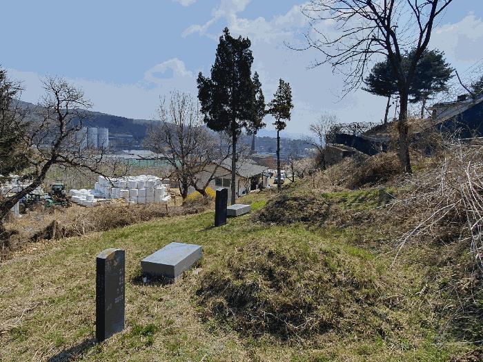 법원경매 2025타경62678 사진8 | 파주시 파주읍 파주리 322-4 전 경매