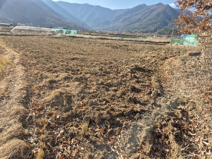 울산광역시 울주군 상북면 거리 549 법원경매 물건 대표사진