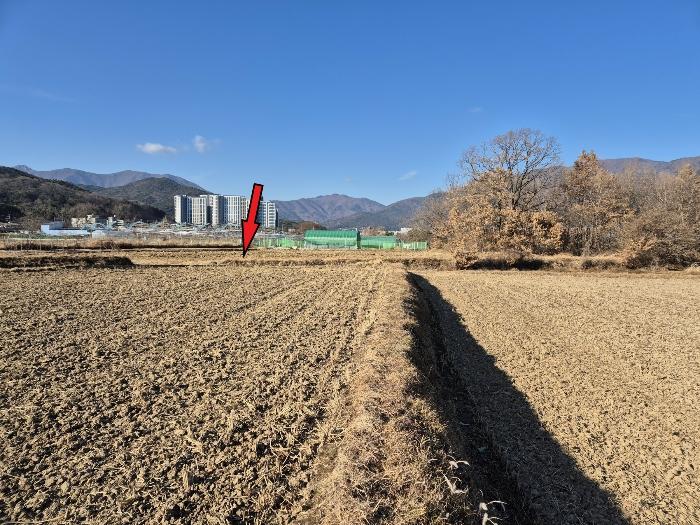 2024타경10169 법원경매 사진2 | 울산 울주군 대지 경매
