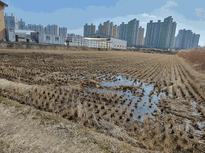 광주 북구 신용동 478-6 답 경매 물건 사진