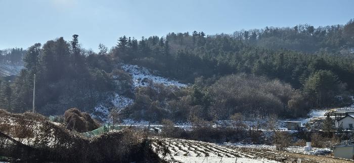 2024타경5902 법원경매 사진2 | 경기 가평군 과수원 경매