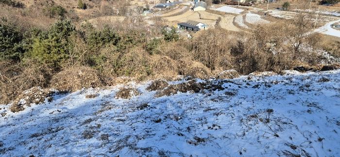 2024타경5902 법원경매 사진6 | 경기 가평군 과수원 경매