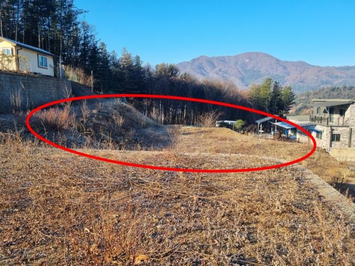 법원경매 2024타경6110 사진9 | 남양주시 수동면 내방리 7-3 임야 경매