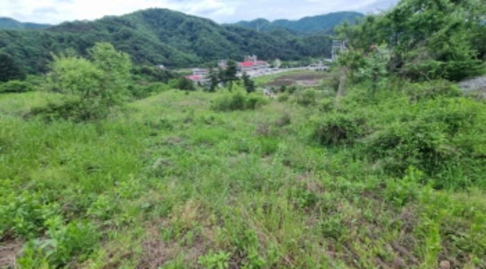 법원경매 2024타경75147 사진25 | 가평군 청평면 상천리 임야 경매