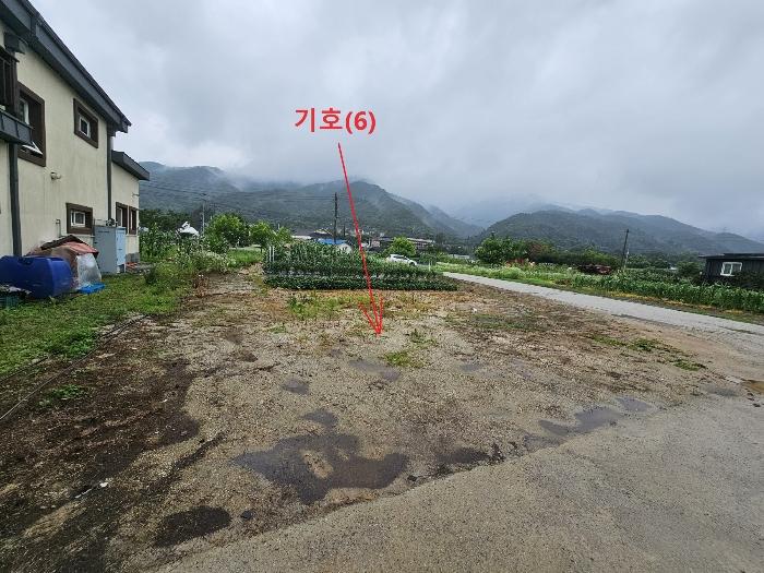 법원경매 2024타경78122 사진6 | 가평군 가평읍 마장리 717-1 답 경매