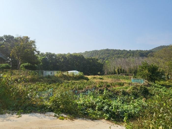 법원경매 2024타경5467 사진45 | 김포시 하성면 전 경매